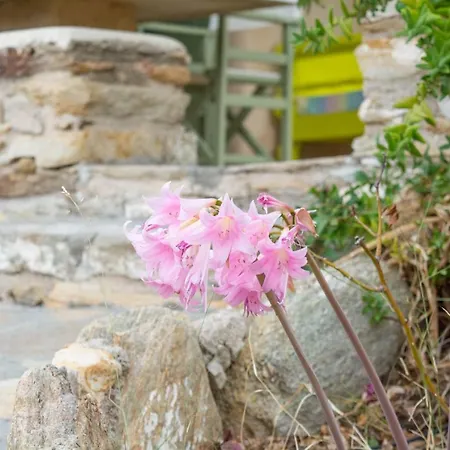 Perivoli House Μυλοπότας