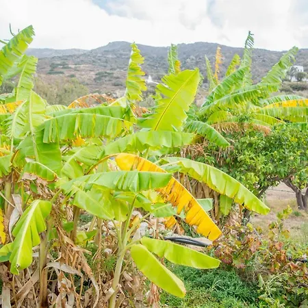 Perivoli House 度假居 迈洛波塔斯