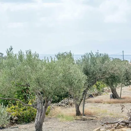 Perivoli House 度假居