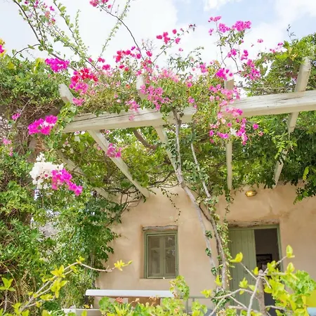 Perivoli House 度假居 迈洛波塔斯