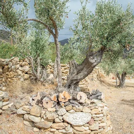 Perivoli House 度假居