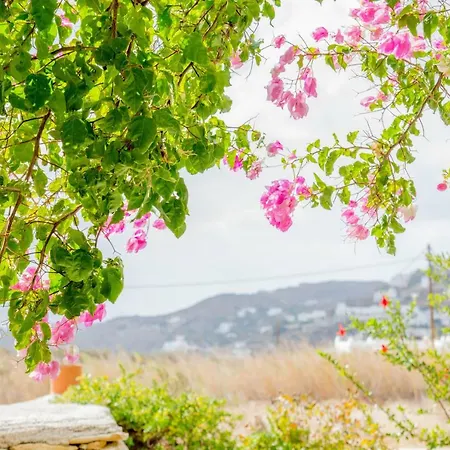 度假居 Perivoli House