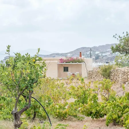 Perivoli House Mylopotas