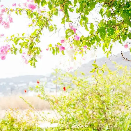 Perivoli House 度假居 *