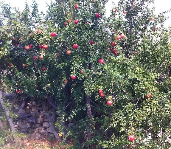 Perivoli House Σπίτι διακοπών Μυλοπότας