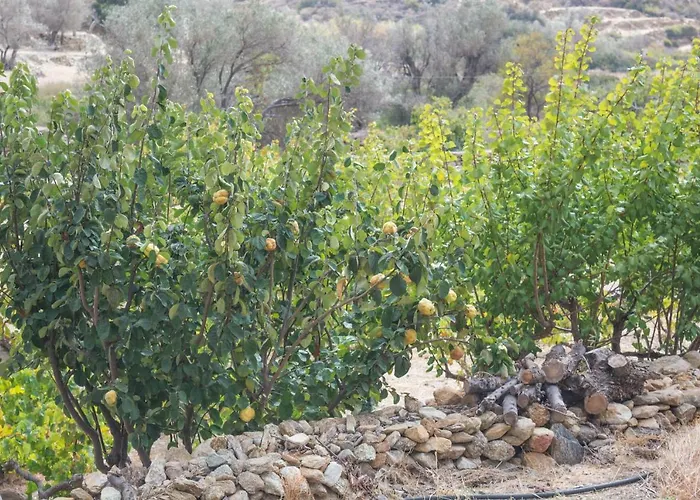 Σπίτι διακοπών Perivoli House *