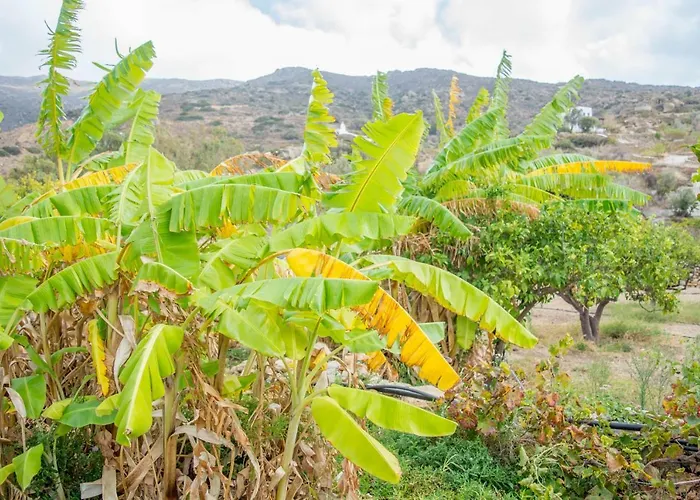 Perivoli House Σπίτι διακοπών Μυλοπότας