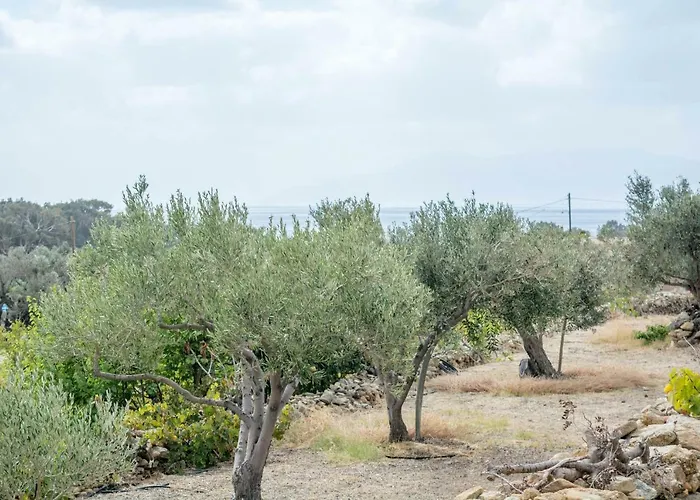 Perivoli House Σπίτι διακοπών