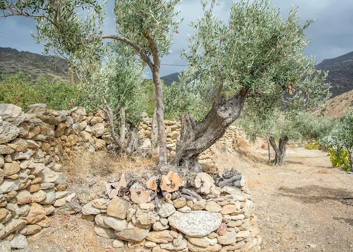 Perivoli House Σπίτι διακοπών